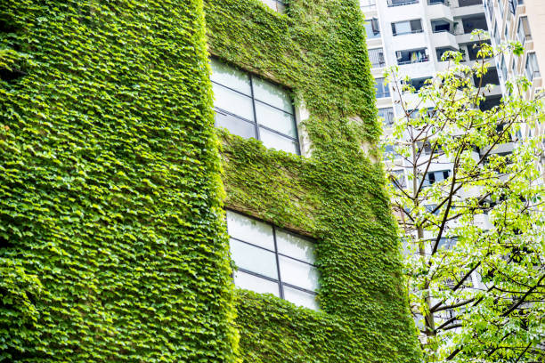 istock Green plants on wall of apartment building 1141225427