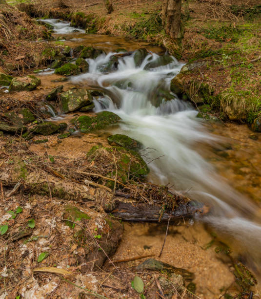 istock Big spring water on nice creek in spring day in Krusne mountains 1141227933