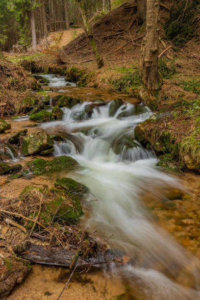 istock Big spring water on nice creek in spring day in Krusne mountains 1141228492