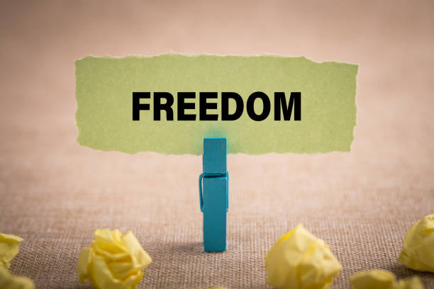 istock Free with paper background 1141229055