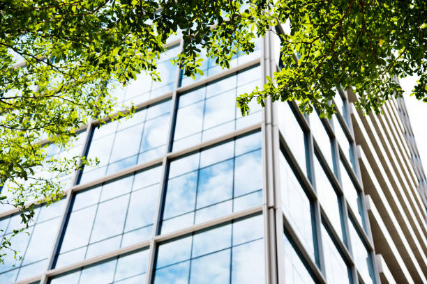 istock Modern office building with green leaves 1141230927