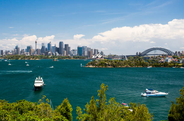 сиднейская гавань из зоопарка таронга - taronga стоковые фото и изображения