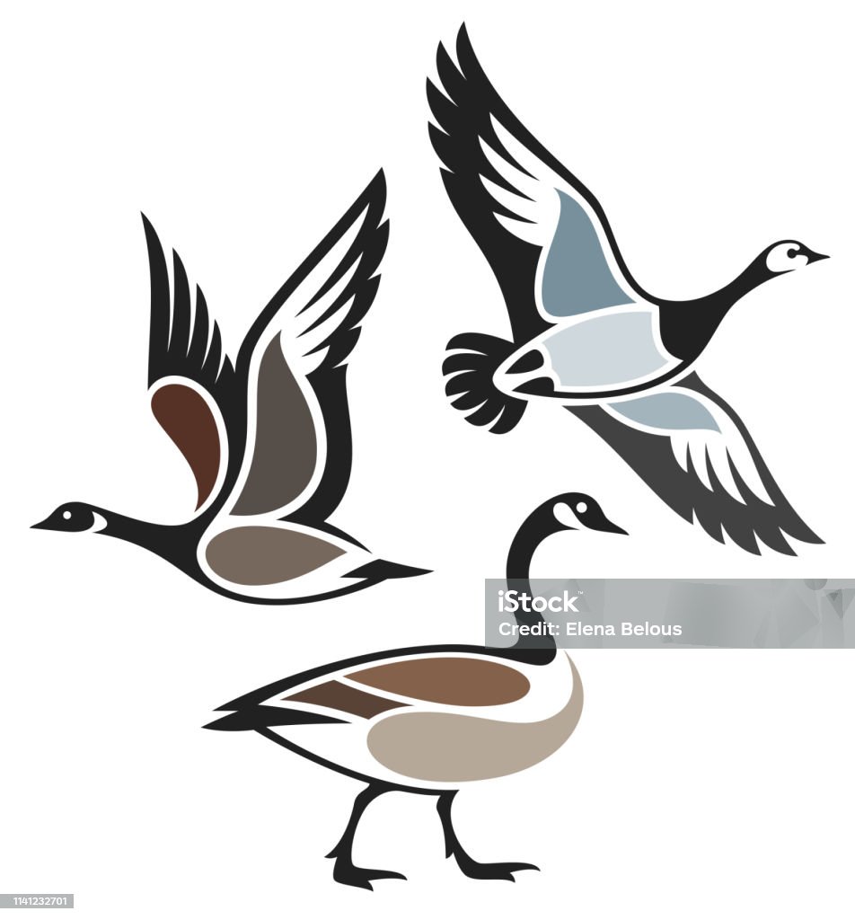 Stylized Birds Stylized Birds - Wild Geese Goose - Bird stock vector