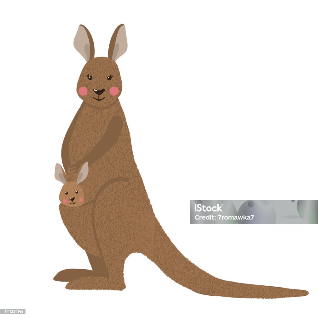 Cute kangaroo with baby isolated on white. Hand drawn cute kangaroo with baby isolated on white background. Australian animal. Vector illustration. Animal stock vector