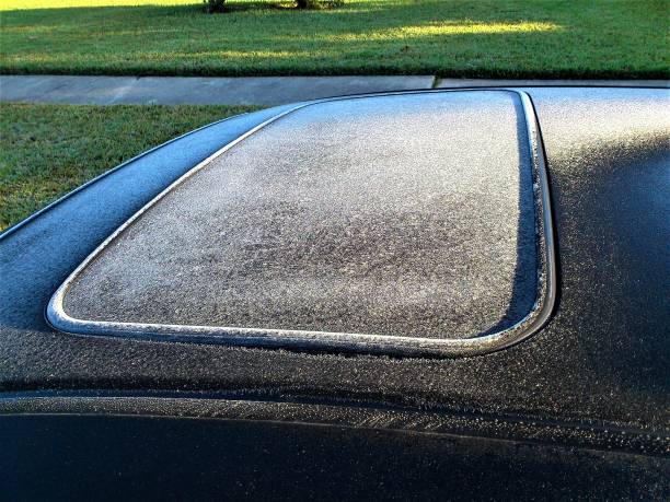 istock morning dew in houston, texas 1141234167