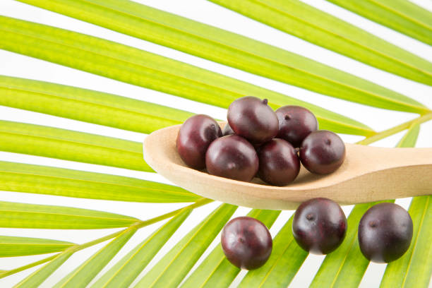 istock Fresh acai berries - Euterpe oleracea 1141234208