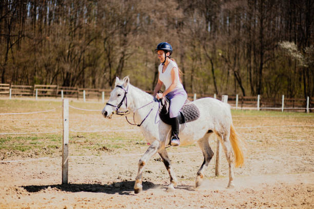 istock Woman practicing with her horse outdoors 1141234242
