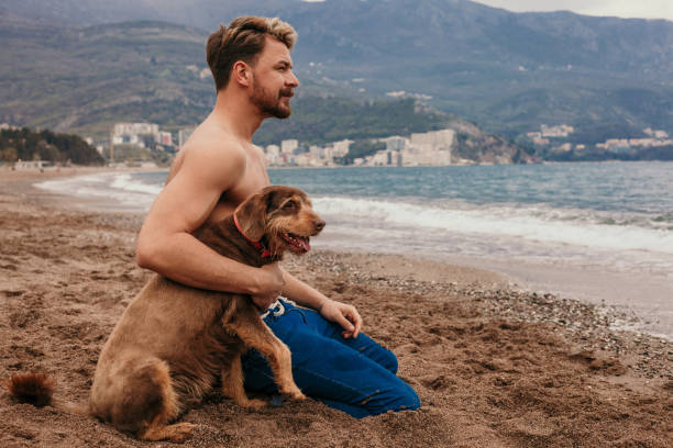 istock Handsome young man holding his puppy at the beach 1141234269