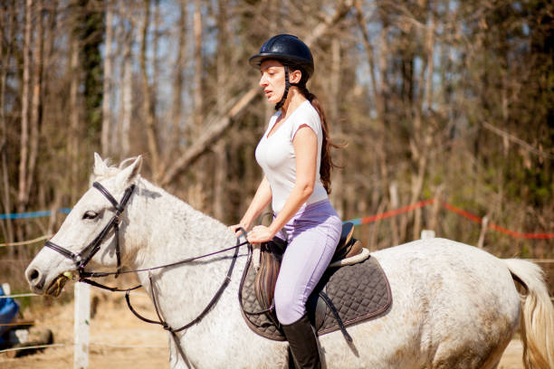 istock Woman practicing with her horse outdoors 1141234430