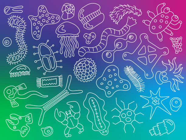 Krill Gradient 110+ Krill Icon Stock Illustrations, Royalty-Free Vector Graphics ...