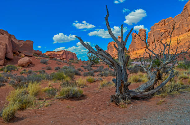 istock Towering Rock formations of Arches National Park 1141237979
