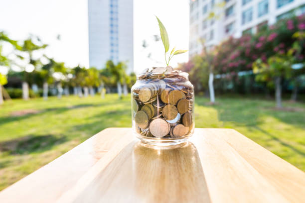 Plant growing in the glass jar with coins