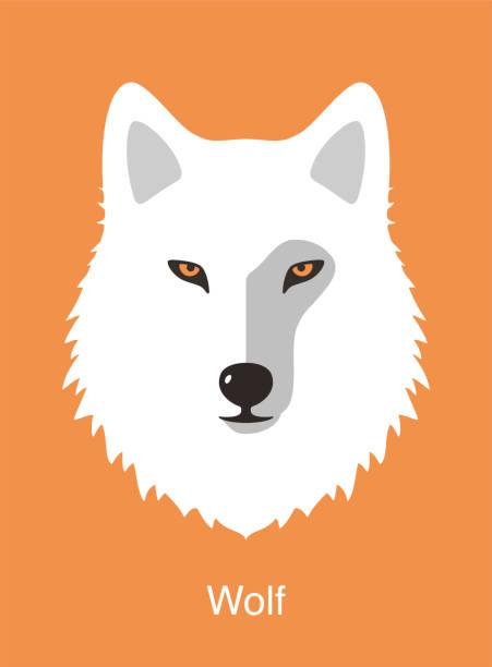 wolf face flat icon design  vector illustration