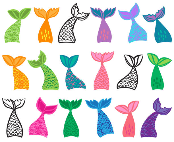vector collection of mermaid tail illustrations - meerjungfrau stock-grafiken, -clipart, -cartoons und -symbole