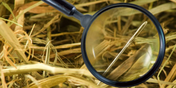 istock image of a magnifying glass and needles in a haystack 1141242631