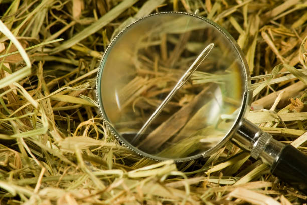 istock image of a magnifying glass and needles in a haystack 1141242633