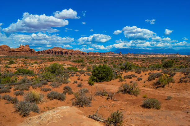 istock Towering Rock formations of Arches National Park 1141246698