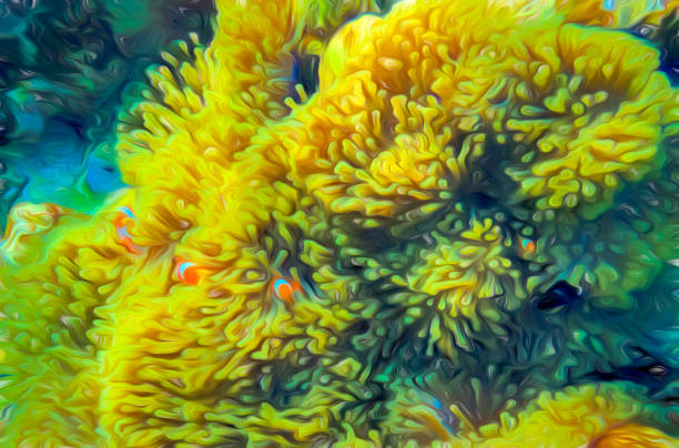 istock Clown fish in sea anemone 1141247904