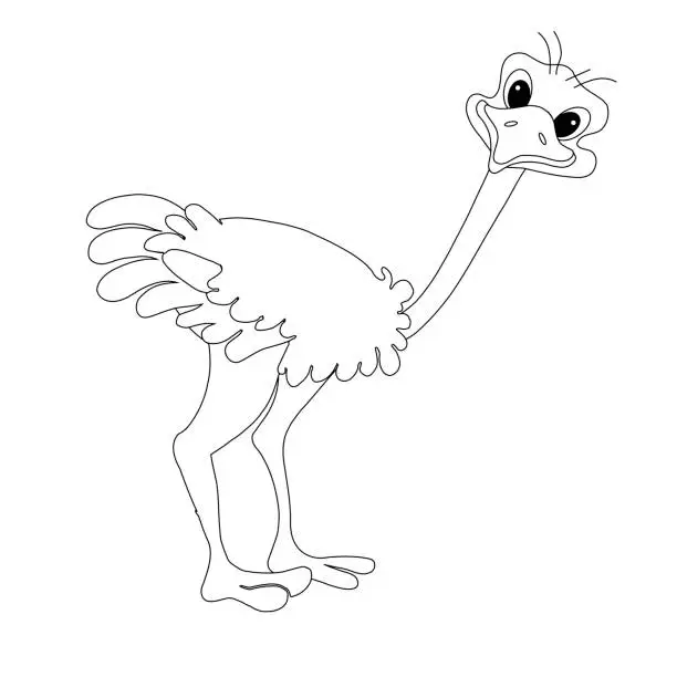 Vector illustration of Ostrich cartoons flat design monochrome object isolated cute bird design element illustration