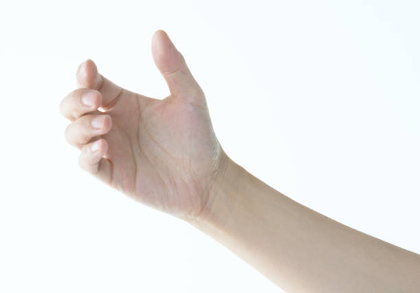 istock Woman hand holding gesture on white background 1141250889