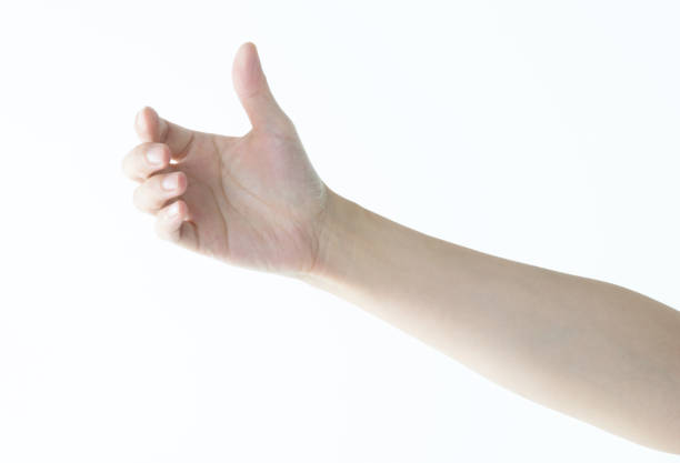 istock Woman hand holding gesture on white background 1141251745