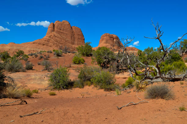 istock Towering Rock formations of Arches National Park 1141252042