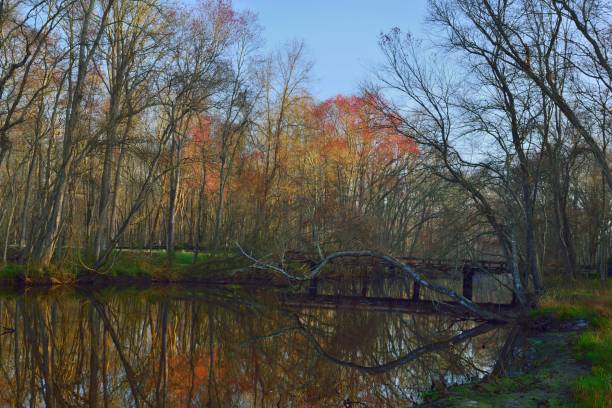 istock Pocomoke Crossing Bridge Wooden Bridge 1141252067