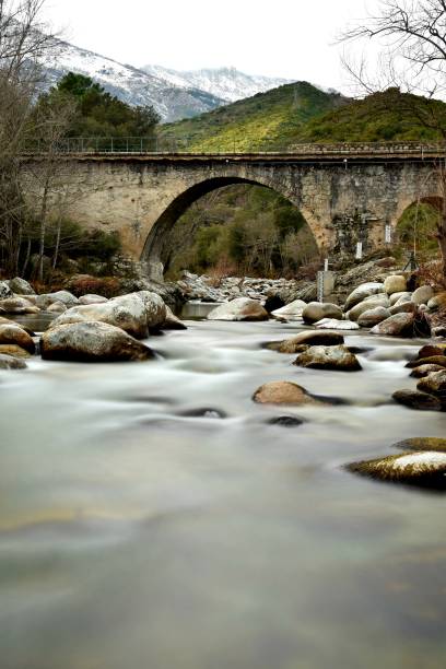 istock Small bridge  and nature in Corsican Islande 1141253612