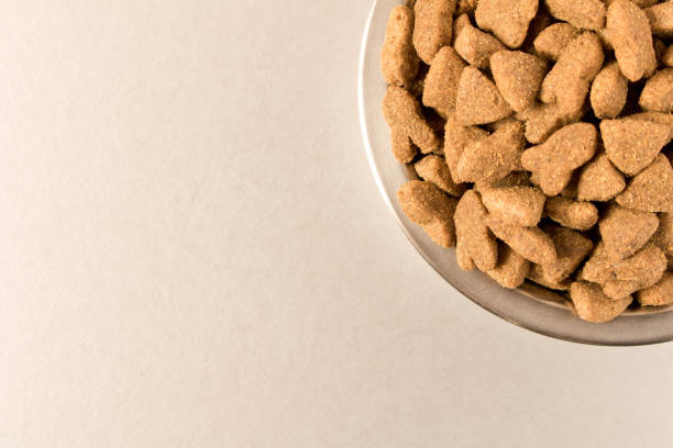 istock Bowl with dog food on a light background . Close up. 1141257247