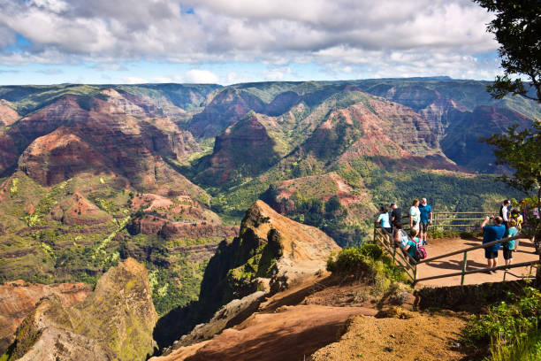 tourists at waimea canyon national state park of kauai island, hawaii - waimea canyon state park imagens e fotografias de stock