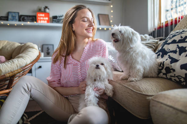 istock I adore my cute puppies! 1141261129