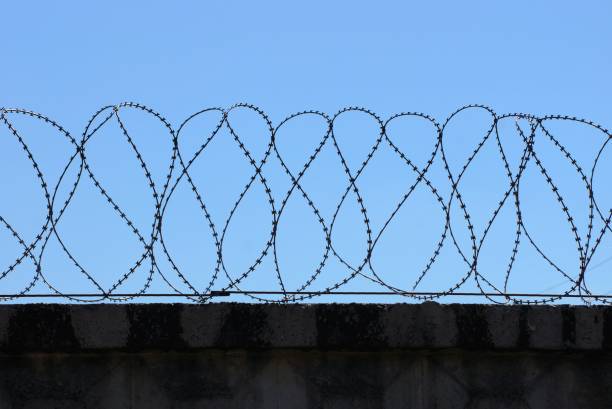 istock barbed wire on a gray concrete fence against a blue sky 1141264084