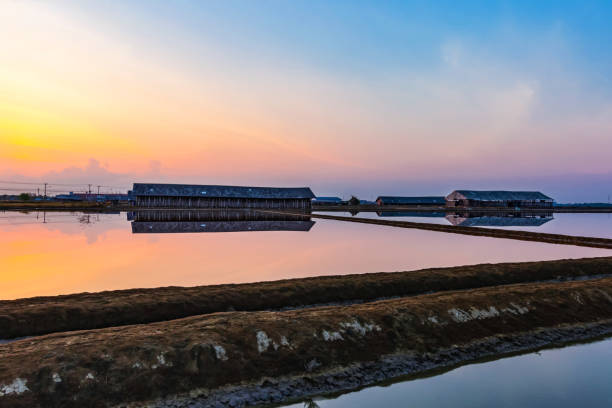 istock Countryside in the morning 1141264088