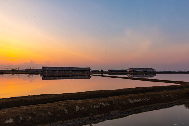 istock Countryside in the morning 1141264094