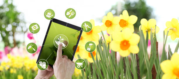 istock gardening equipment e-commerce concept, online shopping on digital tablet, hand pointing and touch screen with green tools icons, on spring flower plants background 1141264414