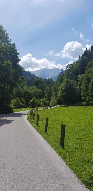 sentier - footpath european alps fence woods photos et images de collection