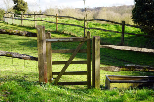 istock Wooden gate in to farm fields 1141265828