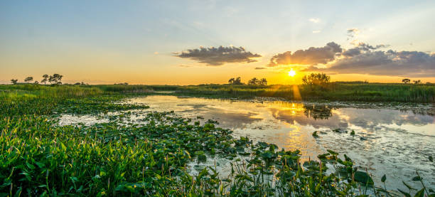 coucher du soleil dans une prairie - manitoba prairie landscape canada photos et images de collection