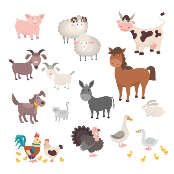 ilustraciones, imágenes clip art, dibujos animados e iconos de stock de conjunto animales de granja. casas aisladas animal cerdo perro caballo de pavo conejo gato. ilustración vectorial - livestock vector cute domestic cattle