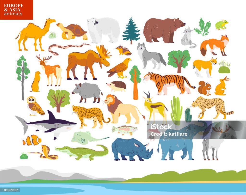 Vector flat illustration of Europe & Asia landscape, animals, plants: polar bear, moose, squirrel, wolf, elephant, tiger, rhino, crocodile, jaguar. Vector flat illustration of Europe & Asia landscape, animals, plants: polar bear, moose, squirrel, wolf, elephant, tiger, rhino, crocodile, jaguar. For infographics, children book, alphabet, banners. Animal stock vector