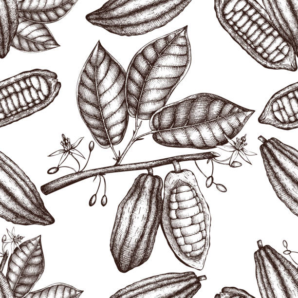 ilustraciones, imágenes clip art, dibujos animados e iconos de stock de patrón de cacao vectorial - chocolate cocoa hot chocolate backgrounds