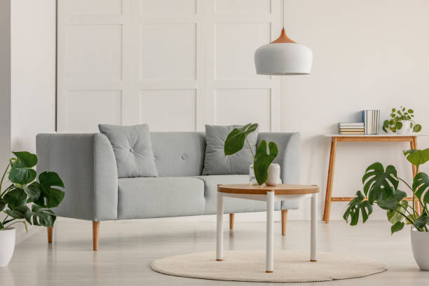 istock Grey sofa in a white living room interior with plants. Real photo 1141272995