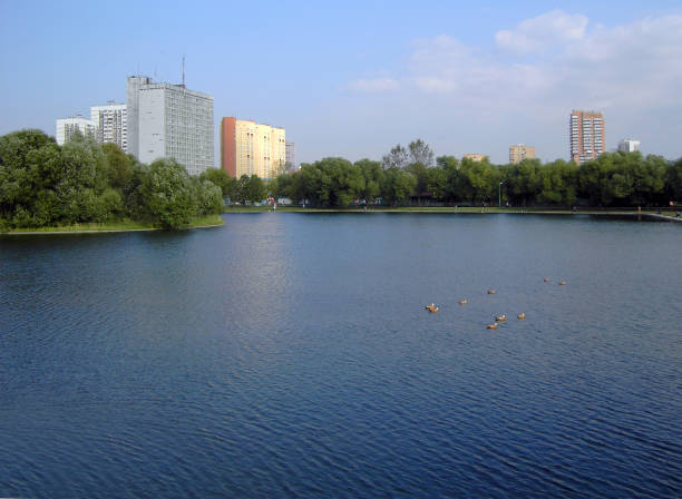 istock summer in city park 1141273797