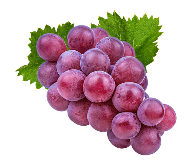 istock Grapes with leaves isolated on white background with clipping pass 1141276051
