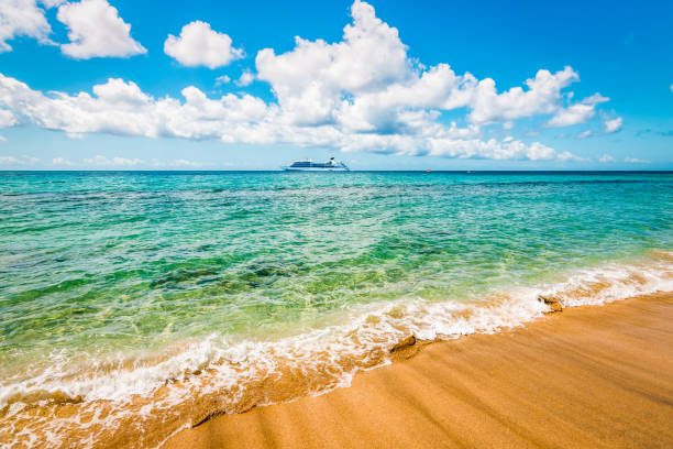 красивый пляж в сент-китс, карибский бассейн. - cruise ship cruise beach tropical climate стоковые фото и изображения
