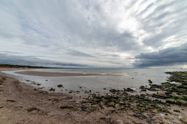 istock empty sea beach in autumn with lonely trees and rocks in sands 1141278250