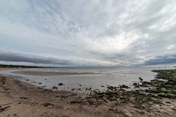 istock empty sea beach in autumn with lonely trees and rocks in sands 1141278251