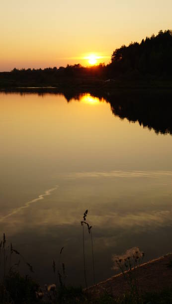 istock Summer landscape, pond and forest on the horizon. 1141280768