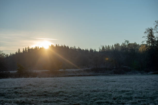 istock first winter frost in sunrise light in countryside 1141283830