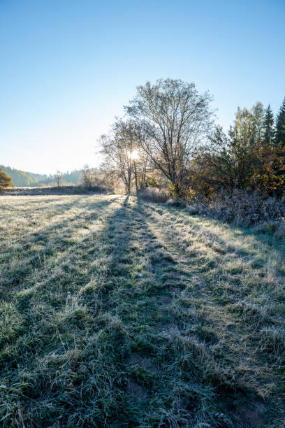 istock first winter frost in sunrise light in countryside 1141283839